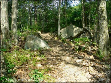 Wrentham Trails
