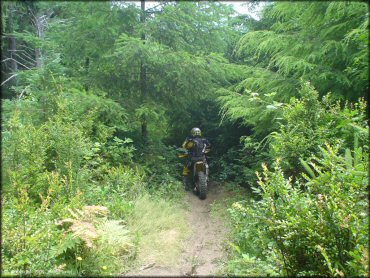 OHV at Winchester Trails