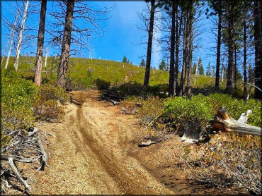 Three Trails OHV System