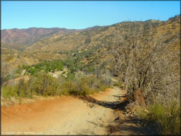 A trail at Frank Raines OHV Park Trail