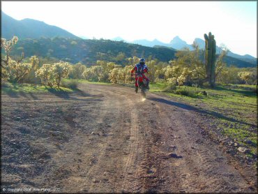 Honda CRF Dirt Bike at Bulldog Canyon OHV Area Trail