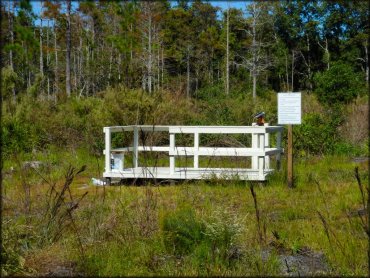 Florida Cracker Ranch Trail