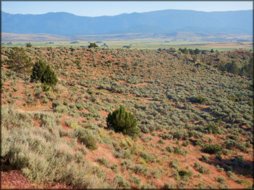 Rice Canyon OHV Area Trail