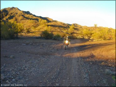 Honda CRF Trail Bike at Shea Pit and Osborne Wash Area Trail