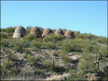 Five beehive coke ovens surrounded by saguaro cacti and creosote bushes.
