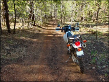 Motorcycle at Munds Park OHV Trail System