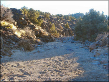 Scenic view at Lousetown Road Trail