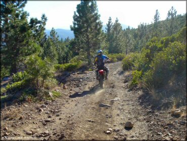 Honda CRF Dirt Bike at Billy Hill OHV Route Trail