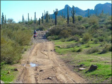 Honda CRF Dirt Bike at Bulldog Canyon OHV Area Trail