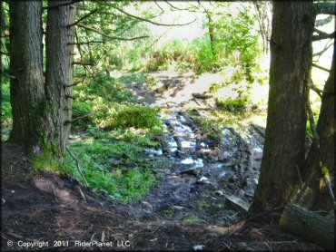Example of terrain at Camden ATV Trail