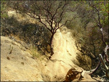 Example of terrain at Santa Clara County Motorcycle Park OHV Area