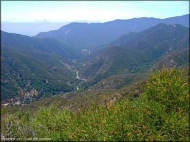 Scenic view of Ortega Trail