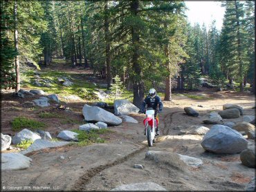 Honda CRF Motorcycle at Genoa Peak Trail