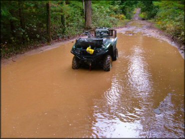 Maple Run Tract Trail