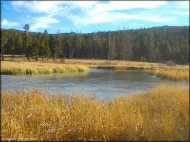 Scenic view of Hunter Lake Trail