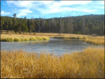 Scenery at Hunter Lake Trail