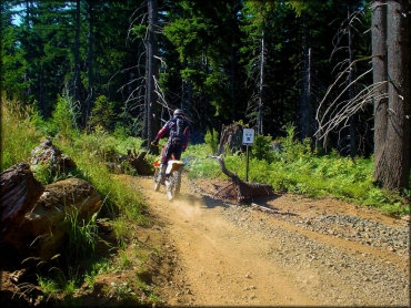 Suzuki RM250 entering amatuer trail.