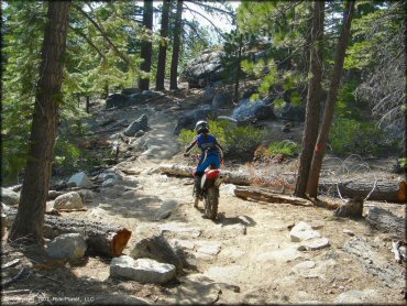 Honda CRF Dirt Bike at Corral OHV Trail