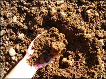 Example of terrain at Savannah MX Park Track