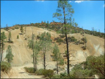 Scenic view at Clear Creek Management Area Trail