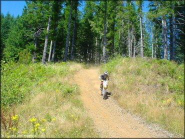 OHV at Diamond Mill OHV Area Trail