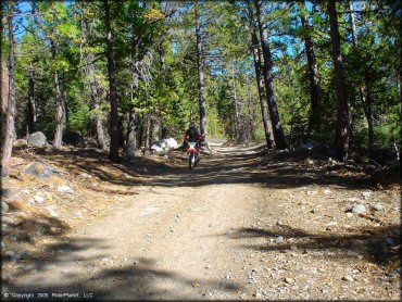 Honda CRF Motorcycle at Indian Springs Trail