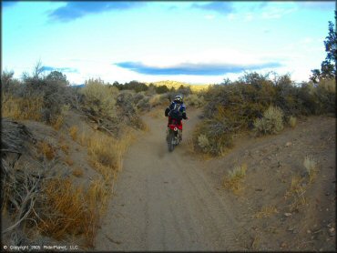 Honda CRF Motorcycle at Mount Seigel OHV Trails