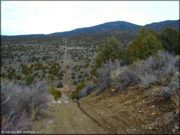 OHV at Old Sheep Ranch Trail