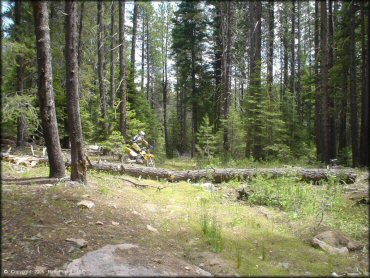 OHV at Crane Mountain OHV Trail