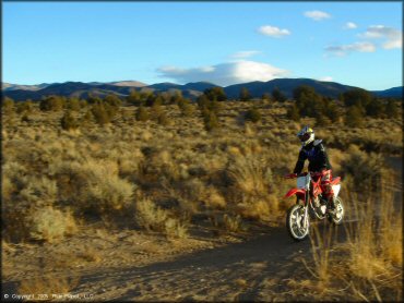 Honda CRF Motorcycle at Mount Seigel OHV Trails