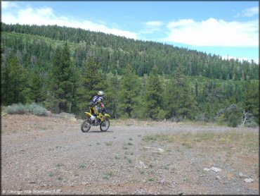 OHV at Crane Mountain OHV Trail