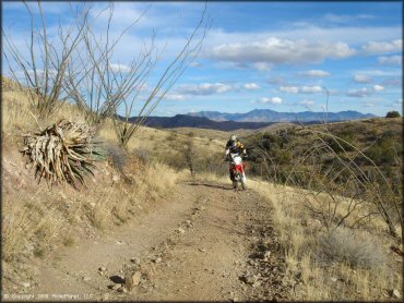 Honda CRF Dirtbike at Santa Rita OHV Routes Trail