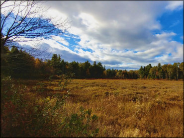 Rockingham Recreational Trail