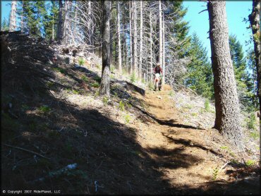 Honda CRF Motorcycle at High Dome Trail