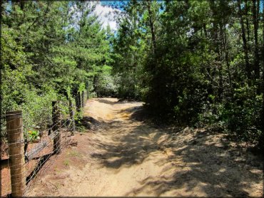 A scenic portion of a sandy ATV trail surrounded by pine trees and fencing.