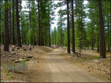 Honda CRF Motorcycle at Verdi Peak OHV Trail