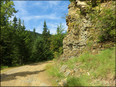 Steamboat Creek Trail