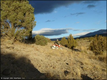 Honda CRF Dirt Bike at Mount Seigel OHV Trails