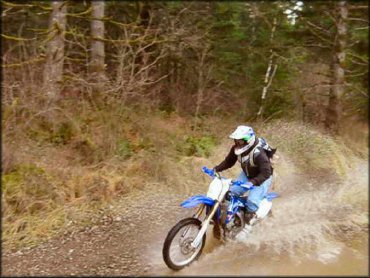 Tahuya State Forest Trail System