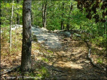 A trail at Wrentham Trails