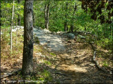 Example of terrain at Wrentham Trails