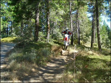 Honda CRF Motorcycle catching some air at Miami Creek OHV Area Trail