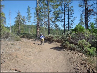 Suzuki RM100 navigating an ATV trail.