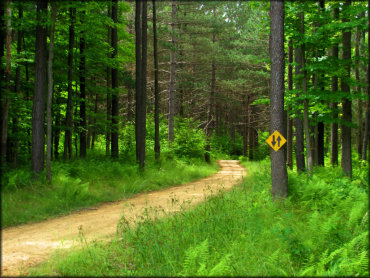 Marienville & Timberline OHV Trails