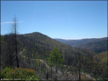 Scenic view of forest and 4x4 trail.