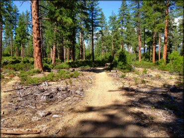 Some terrain at Three Trails OHV System