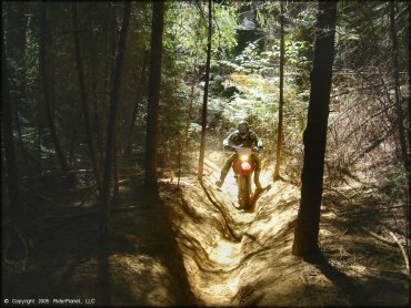 Honda CRF Trail Bike at Elkins Flat OHV Routes Trail