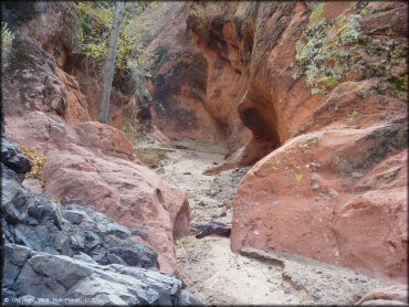Scenic view at Black Hills Box Canyon Trail