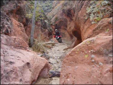 Honda CRF Dirtbike at Black Hills Box Canyon Trail