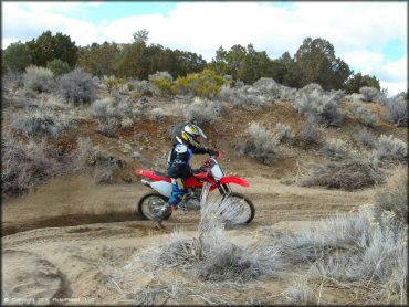 Honda CRF Motorcycle at Old Sheep Ranch Trail